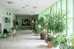 Mini IMG 4309